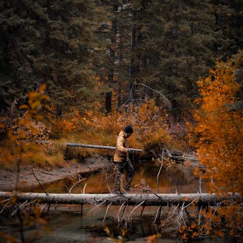 Фотография #11282478