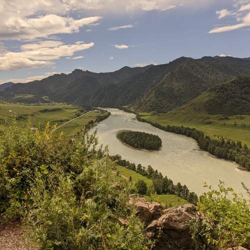 Photo #11283007