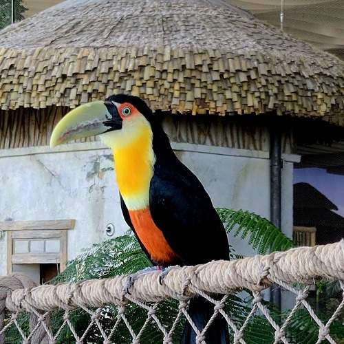 Photo #11283502