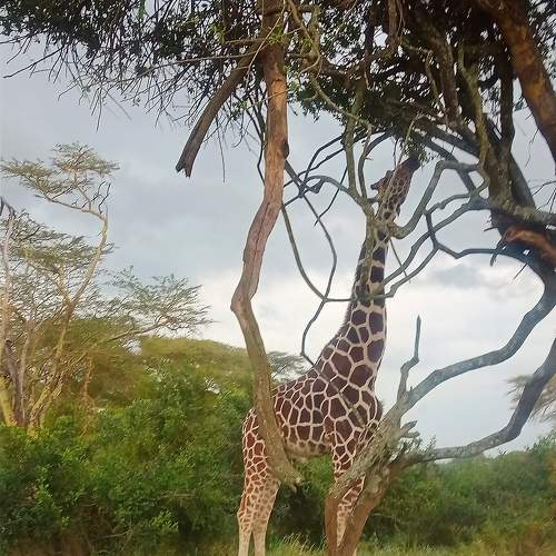 Photo #11283845