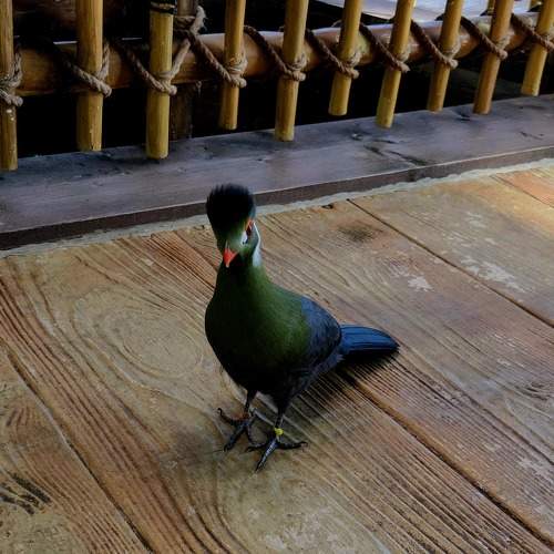 Photo #11284352