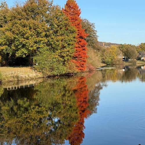 Photo #11284551