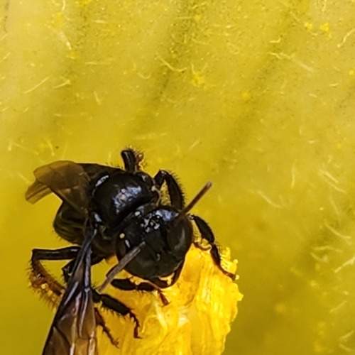 Photo #11284873