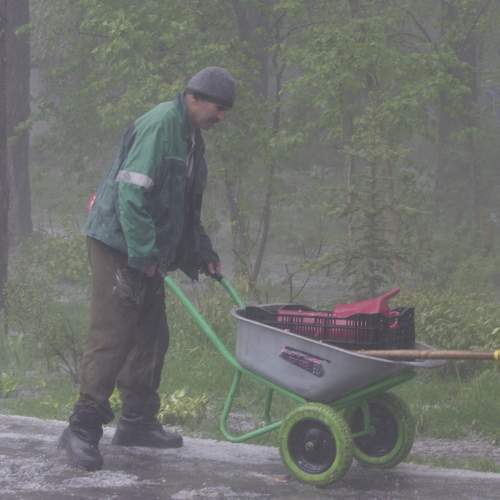 Photo #11284884