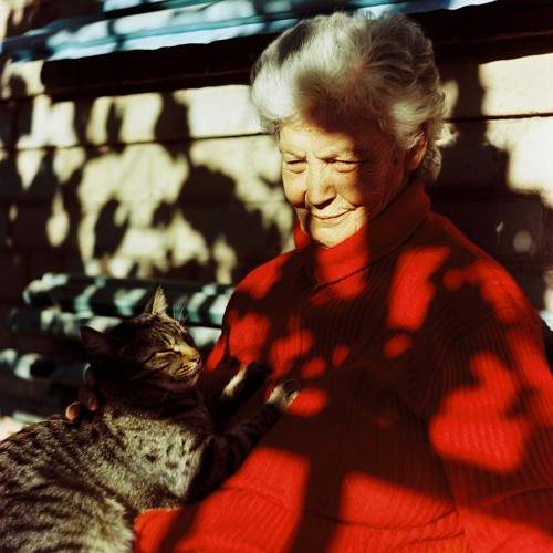Photo #11284886