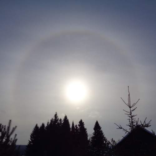 Photo #11284982