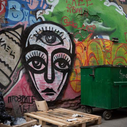 Photo #11285047