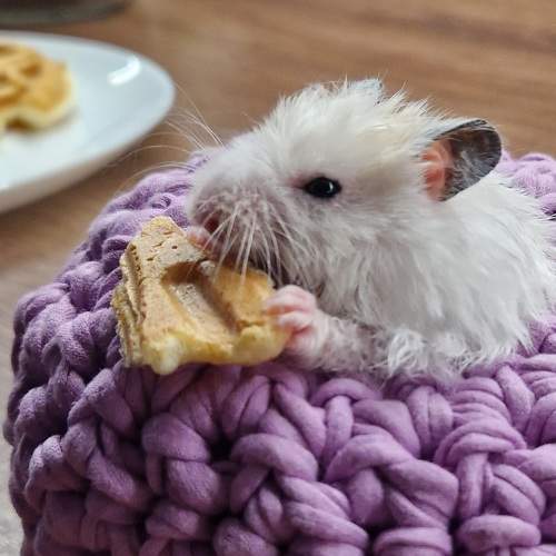 Photo #11285251