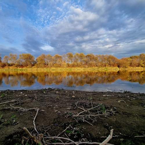 Photo #11285265