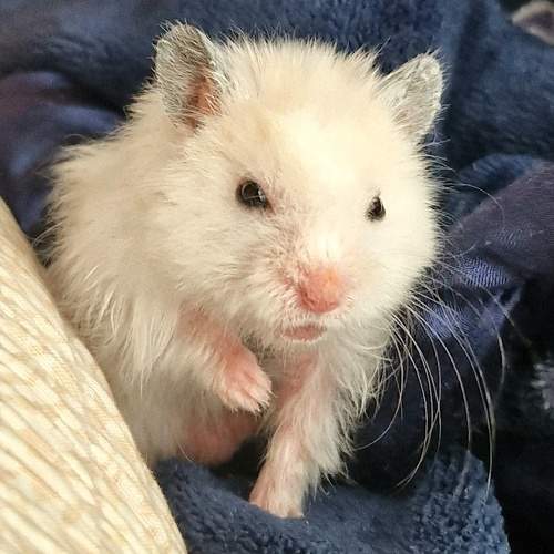Photo #11285296