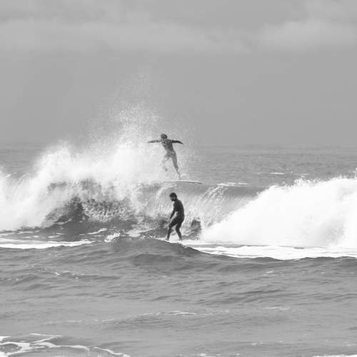 Photo #11285502