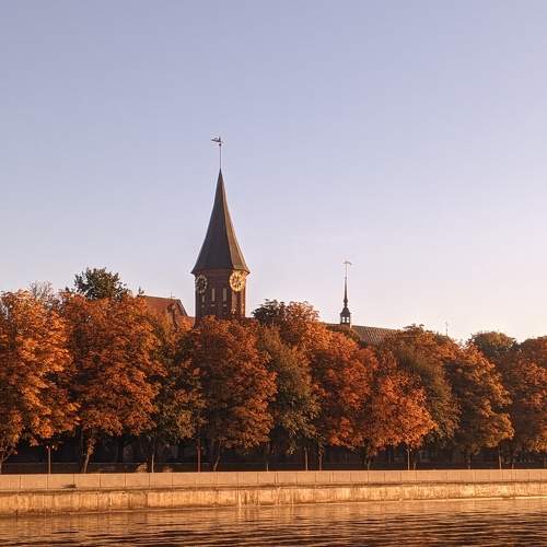 Photo #11285592