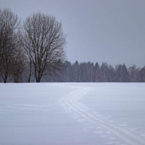 Photo #11285657