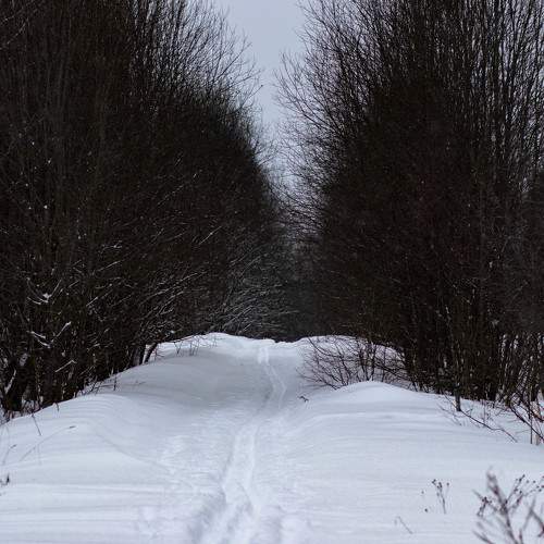 Photo #11285662