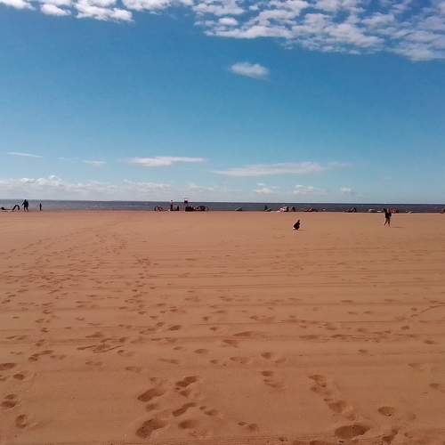 Photo #11285677