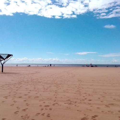 Photo #11285682