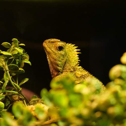Photo #11286539