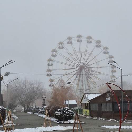 Photo #11286615