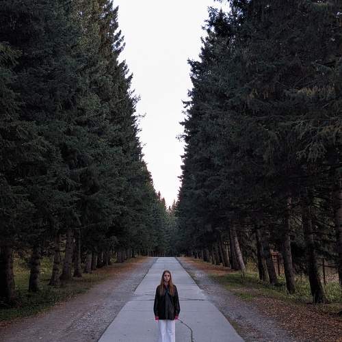 Photo #11287155