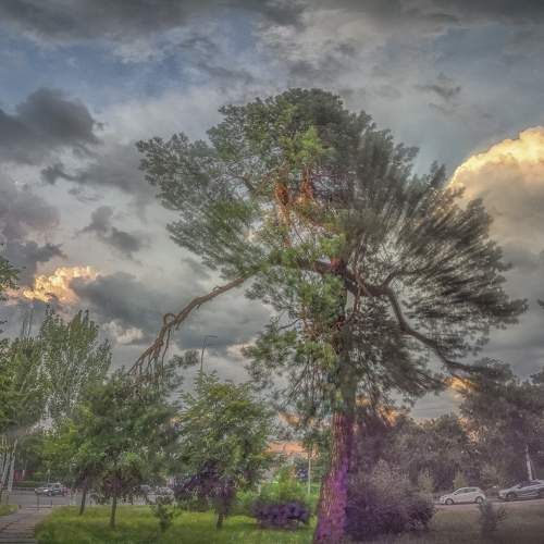 Photo #11287377