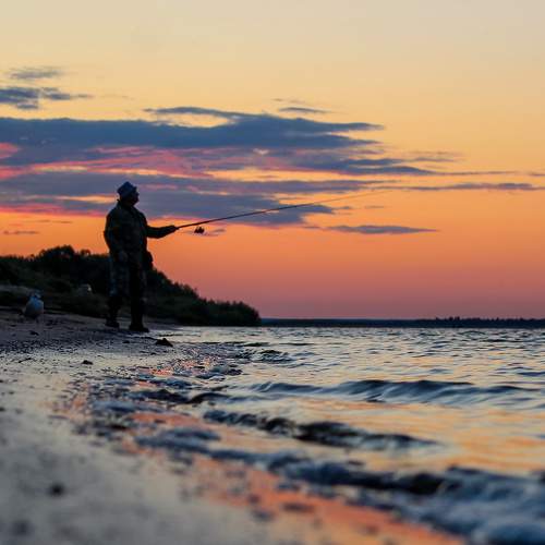 Photo #11287943