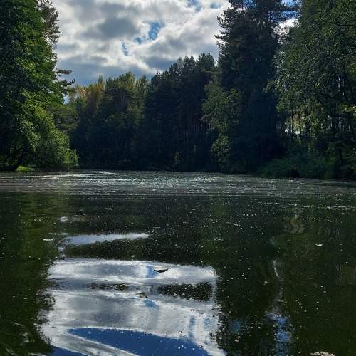 Photo #11288178
