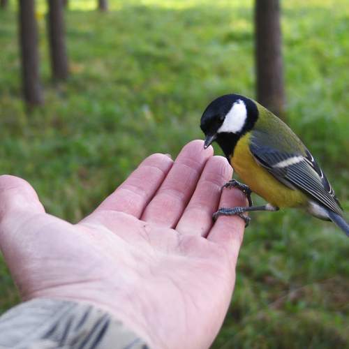 Photo #11288219