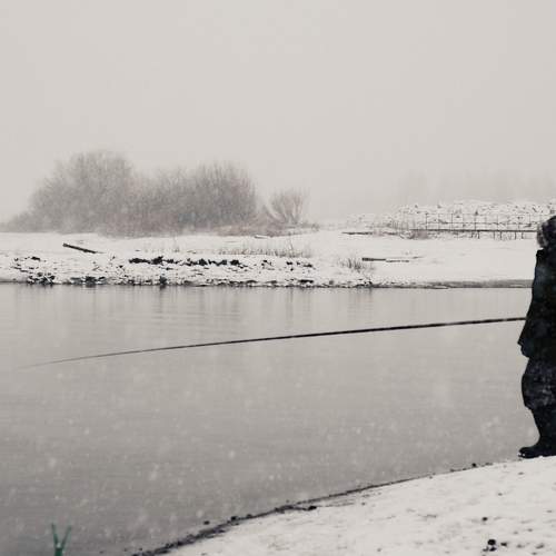 Photo #11288448