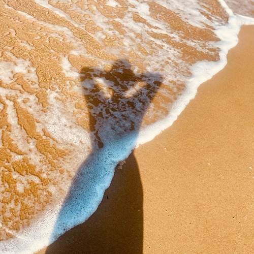 Photo #11288569