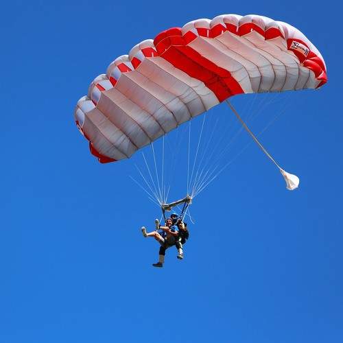 Photo #11288576