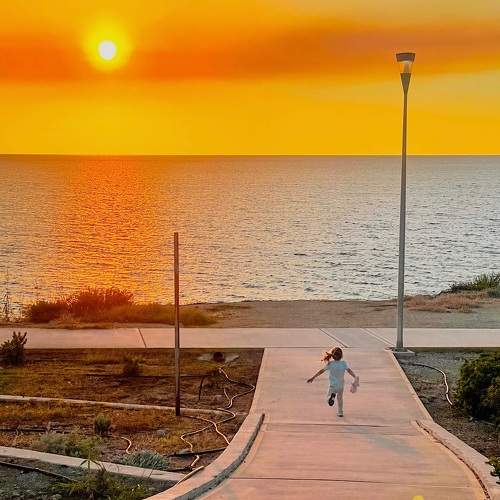 Photo #11288608
