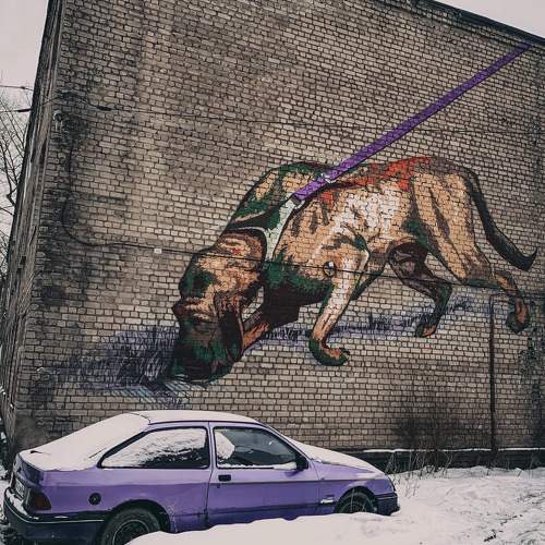 Photo #11288954