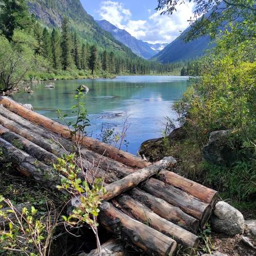 Photo #11288997