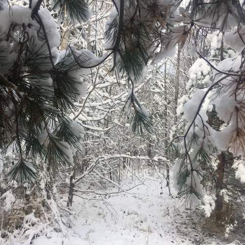Photo #11289006