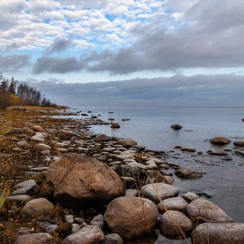 Photo #11289267
