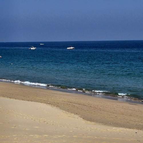 Photo #11289284