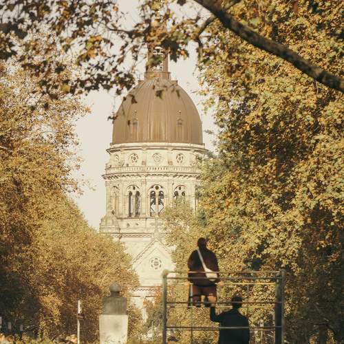Photo #11289641