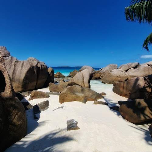 Photo #11289750