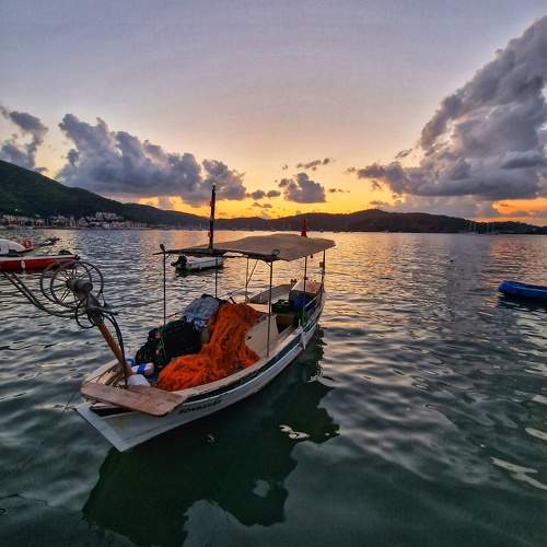 Photo #11289753