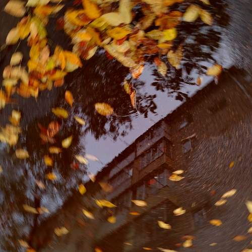 Photo #11289945