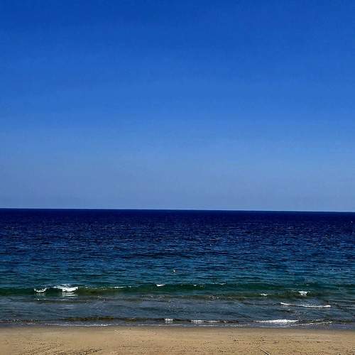 Photo #11290017
