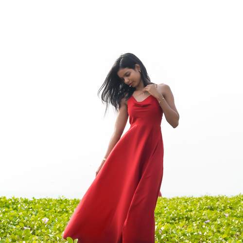 Photo #11290027