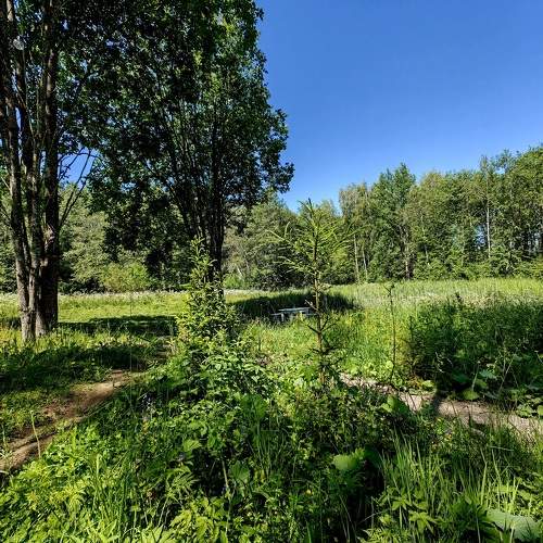 Photo #11290032