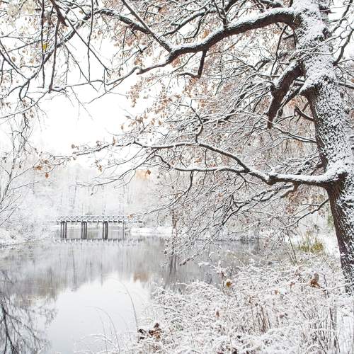 Фотография #11291291