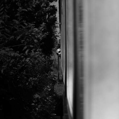 Photo #11291332