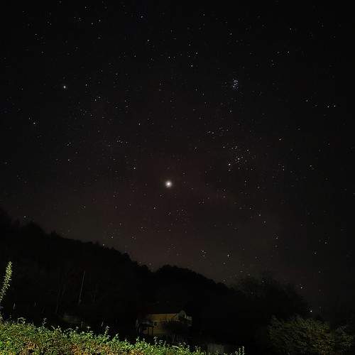 Photo #11291388