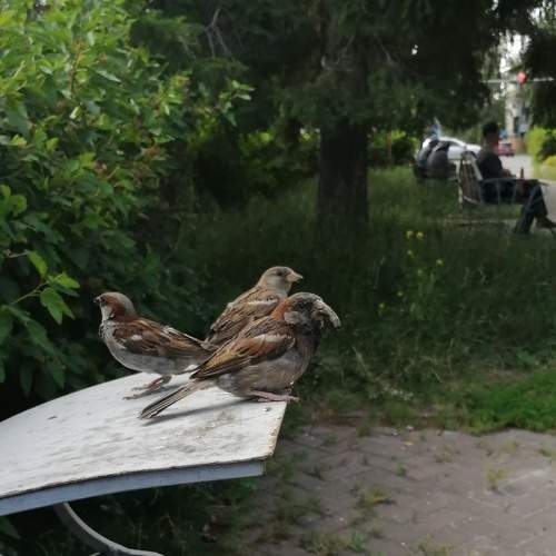 Photo #11291907