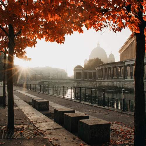 Photo #11292000