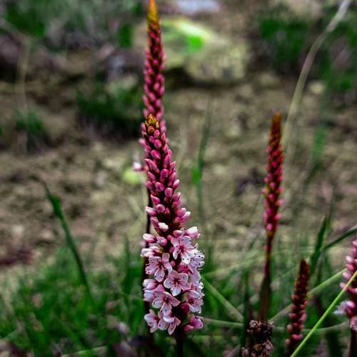 Photo #11292149