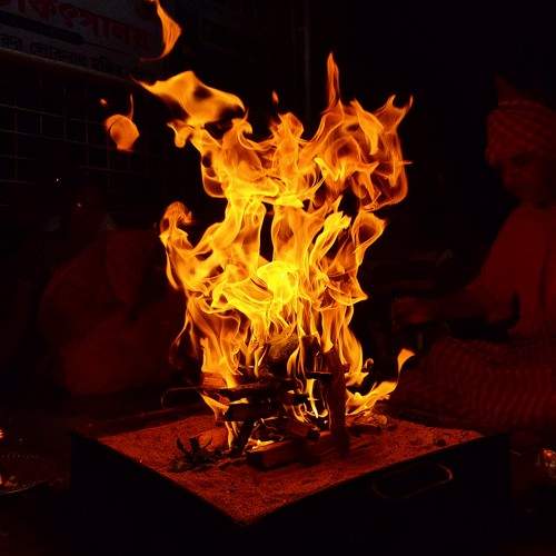 Photo #11292292